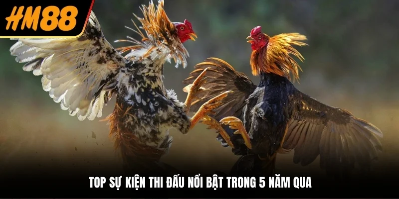 Top sự kiện thi đấu nổi bật trong 5 năm qua